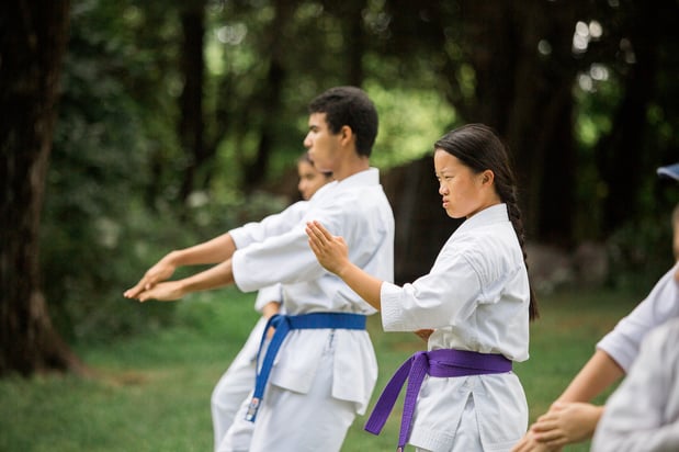 Images Forge Dojo