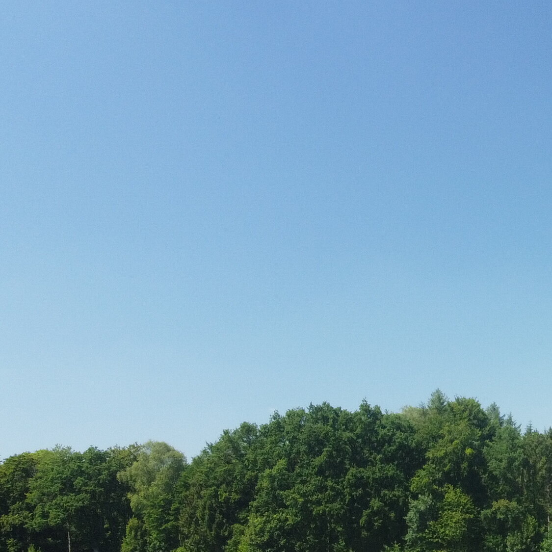 Waldpension Jägerstüberl, Am Steinkart 7f in Bad Griesbach im Rottal