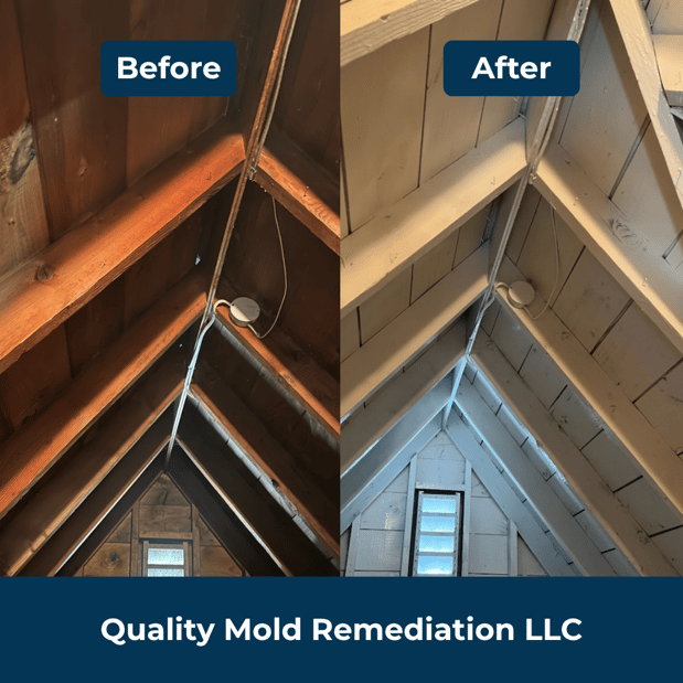 Images Quality Mold Remediation LLC