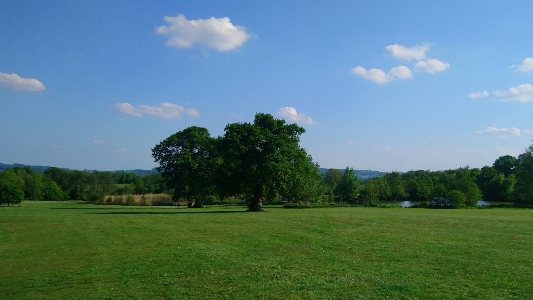 Images CTA Planning Consultancy