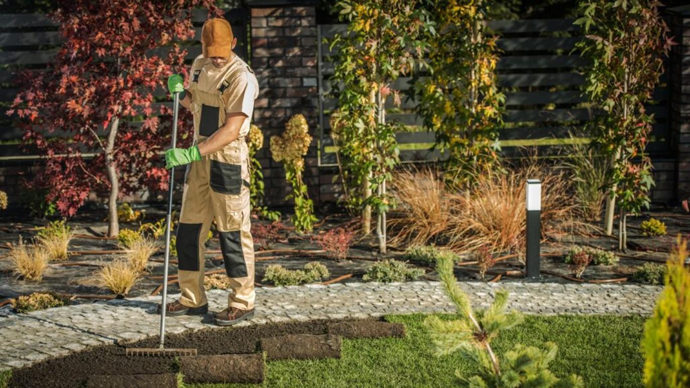 Images Reel Ejendomsservice v/Robert Larsen