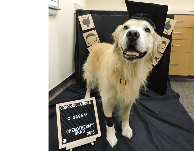 Images Upstate Vet Emergency & Specialty Care - Greenville