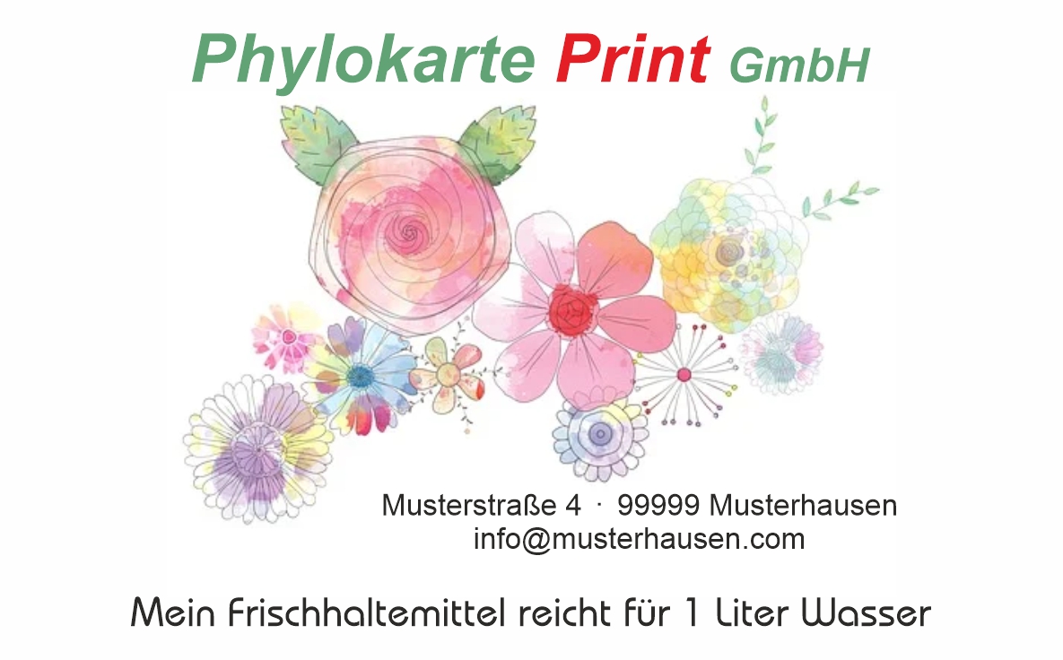 Phylokarte-Print GmbH, Klosterhof 4 in Zell