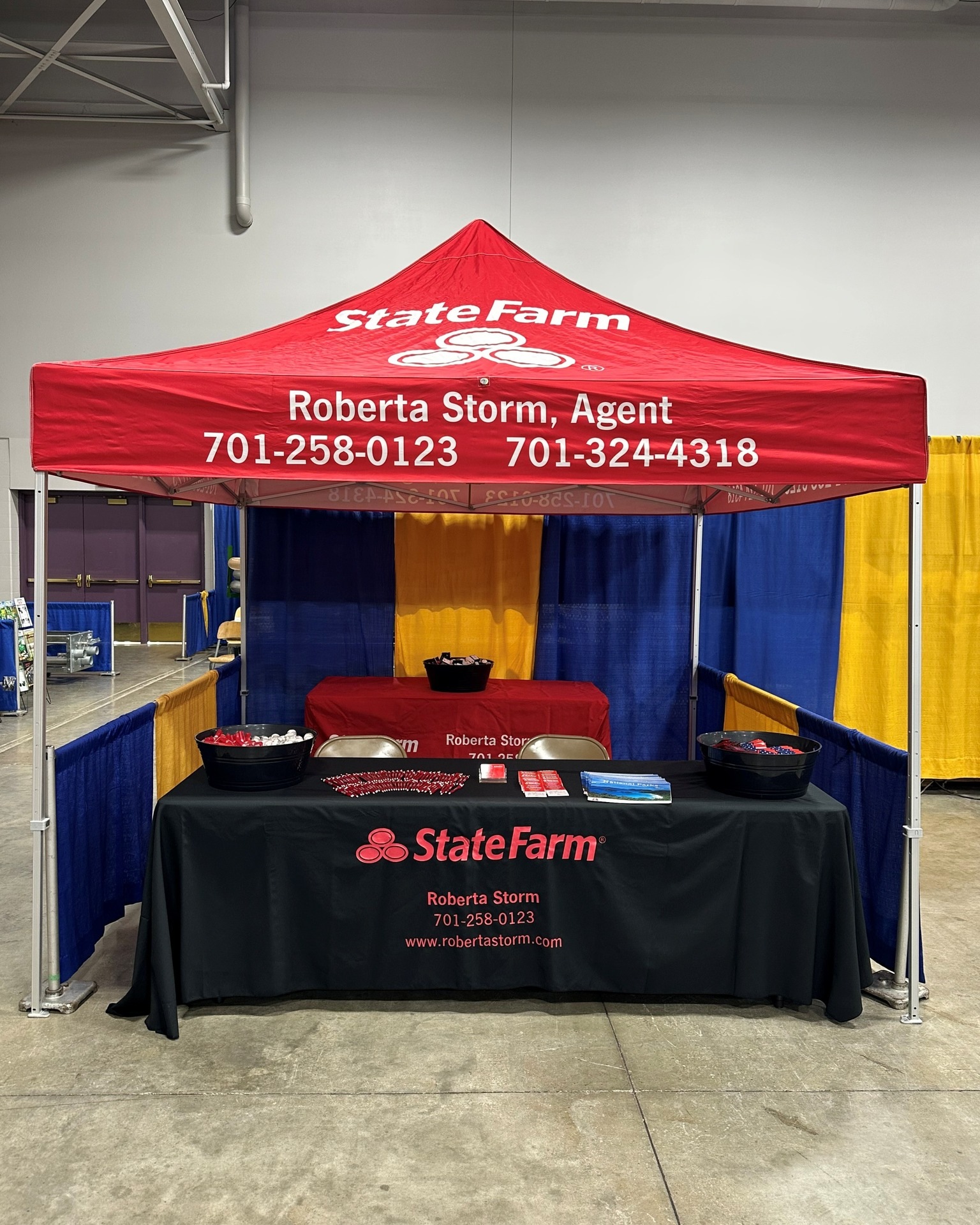 Roberta Storm - State Farm Insurance Agent Image