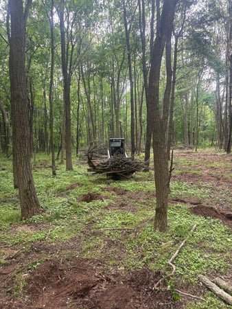Images Newscape Forestry, LLC