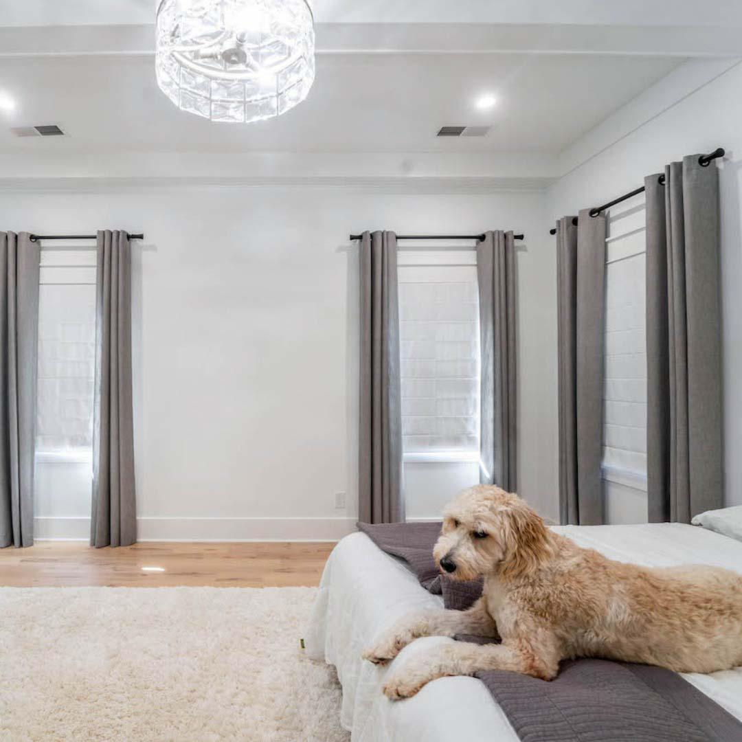 Layered Roman shades for light control and gray drapes to match this dog's favorite throw blanket are the perfect combination.
