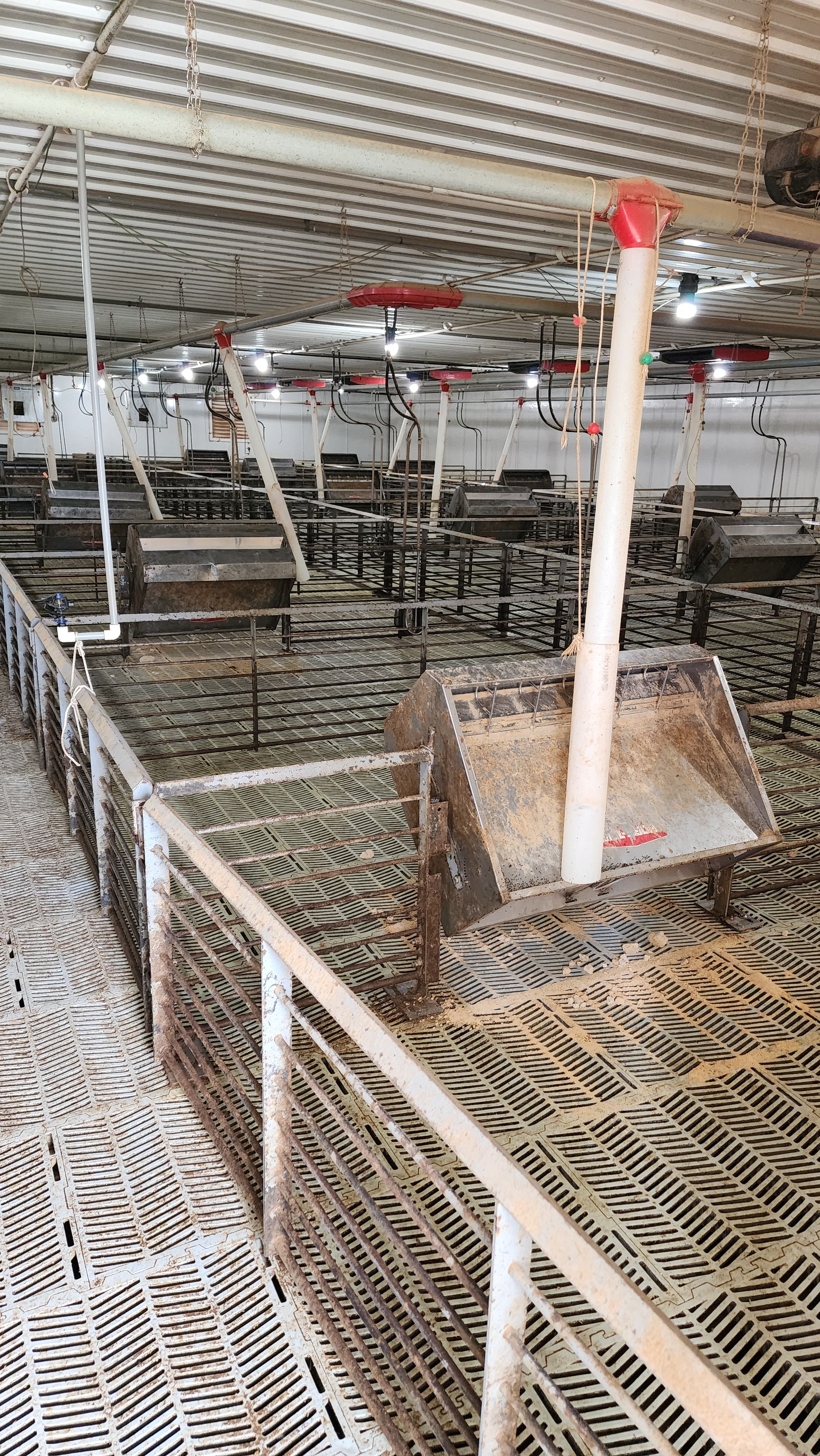 Diamond Pavon Construction LLC Image