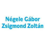 Duplex N-ZS Autójavító Kft. Logo