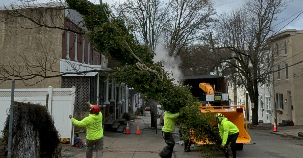 24/7 Emergency Tree Service in Ambler, PA