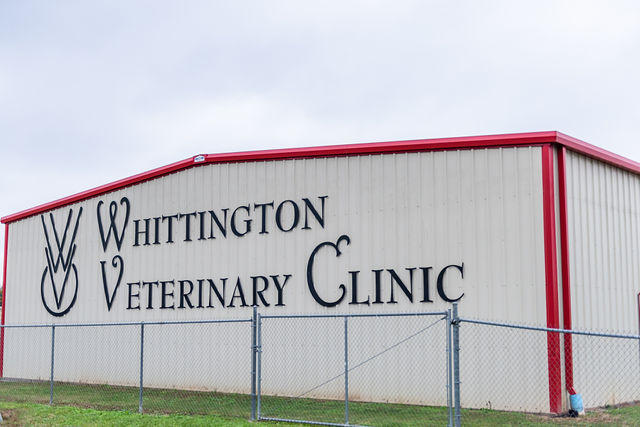 Images Whittington Veterinary Clinic