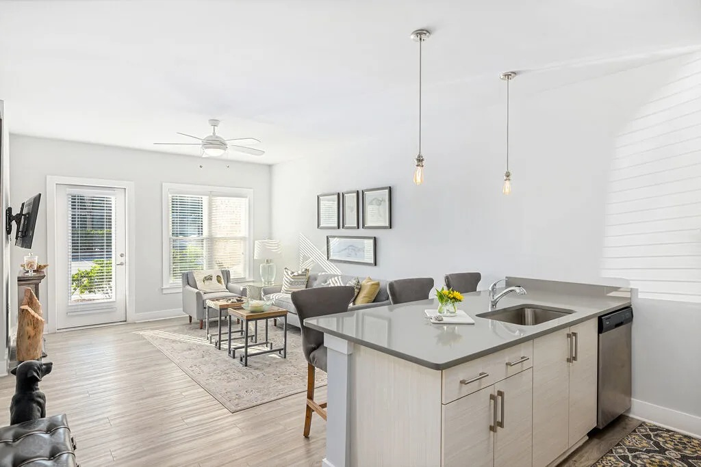 Kitchen And Living
