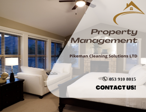 Pikeman Cleaning Solutions 3