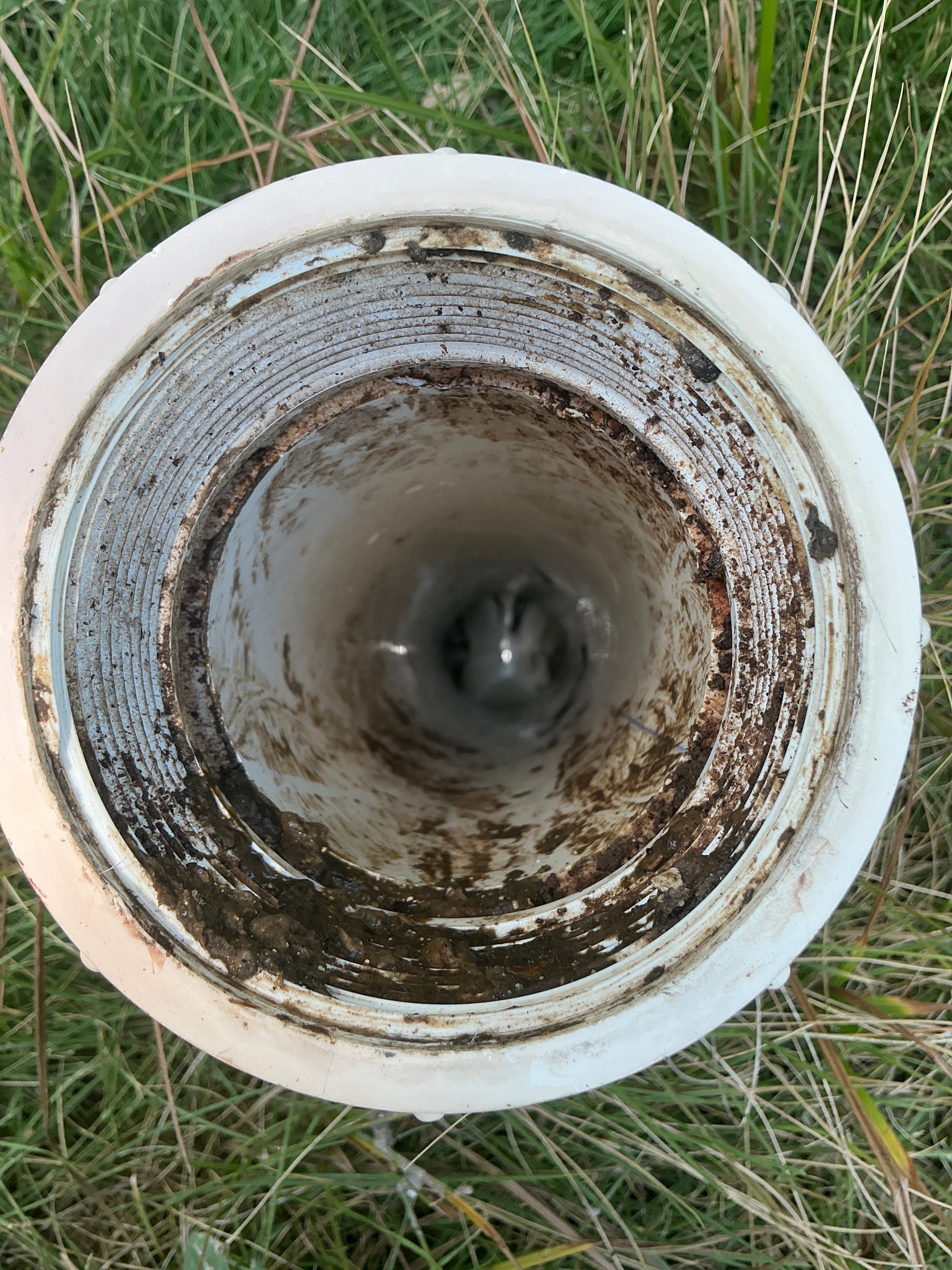 Circular Image