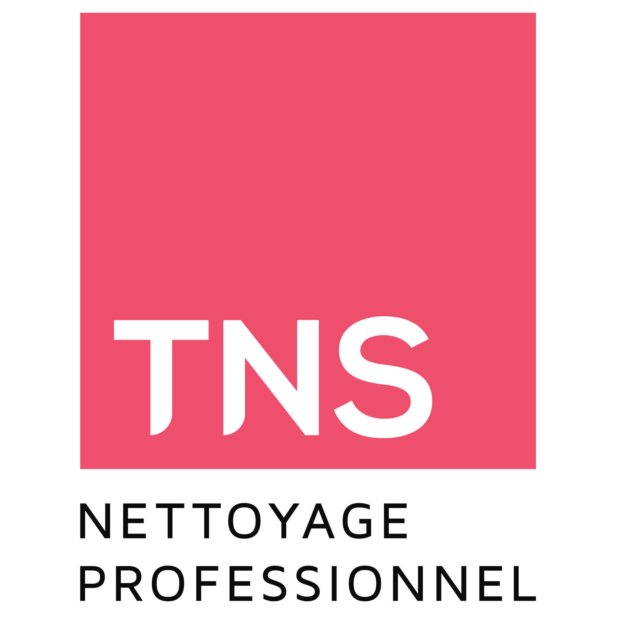 TNS Total Nett' Services Sàrl Logo