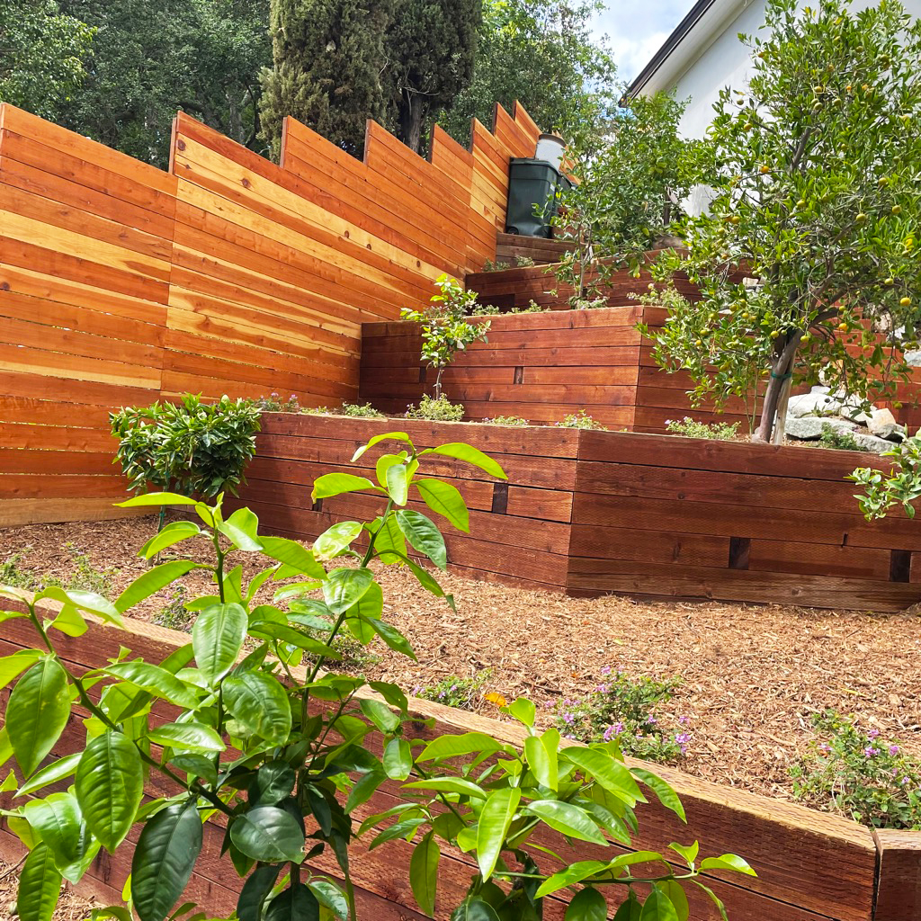 Tiered backyard garden with warm cedar retaining walls, lush green plants, and a privacy fence, creating a bright, peaceful outdoor space.