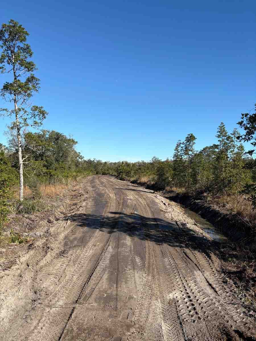 Newly graded dirt roadway extending through a rural property, demonstrating professional road construction and land development services that improve access, drainage control, and site functionality.