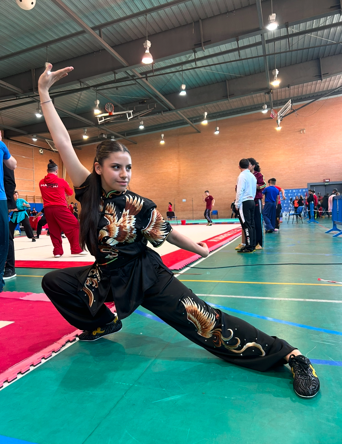Images Escuela De Wushu/kung Fu Jingwu