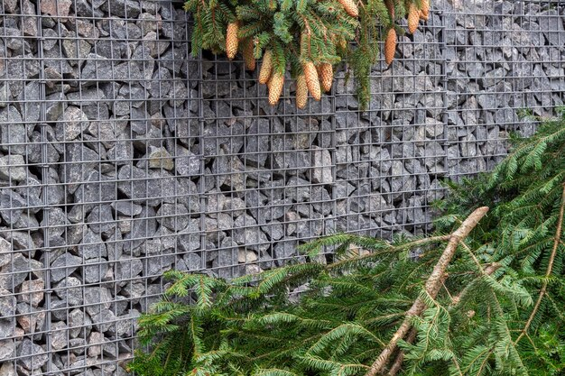 Bilder Lang Hauswartung