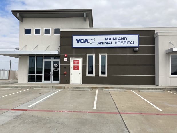Images VCA Mainland Animal Hospital