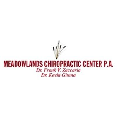 Meadowlands Chiropractic Center P. A. Logo