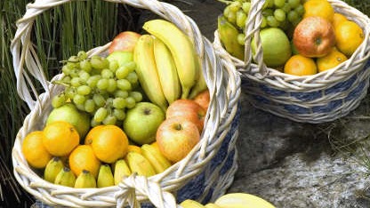 Images Vireo Fruktbilen