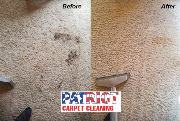 Images Patriot Carpet Cleaning