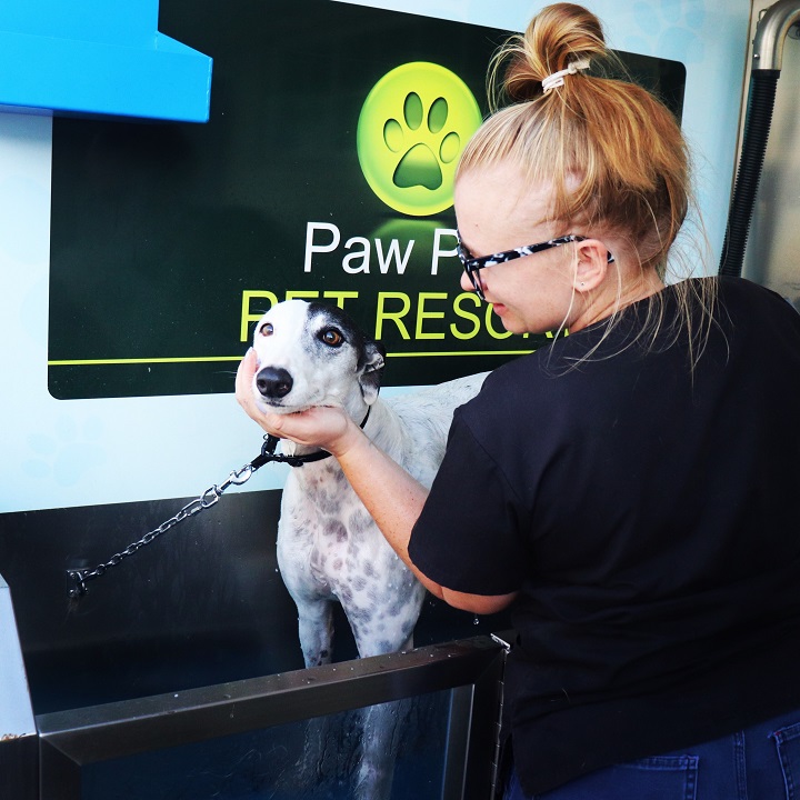 Images Paw Park Pet Resort