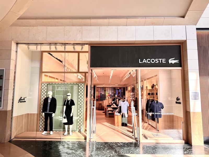 Overall View - Windows (Hero Image)