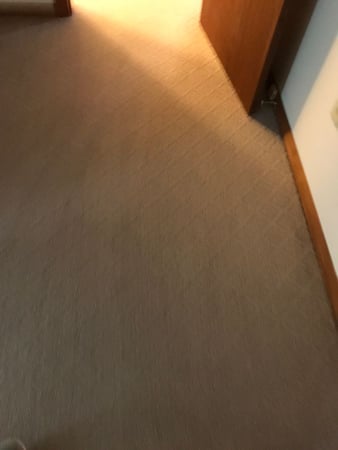 Images Salerno Carpet & Upholstery Cleaning