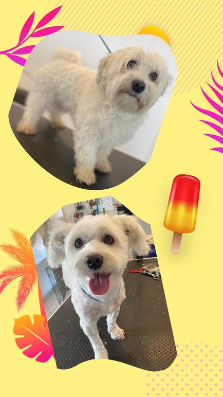 Images 4 Tassarnas Trim AB