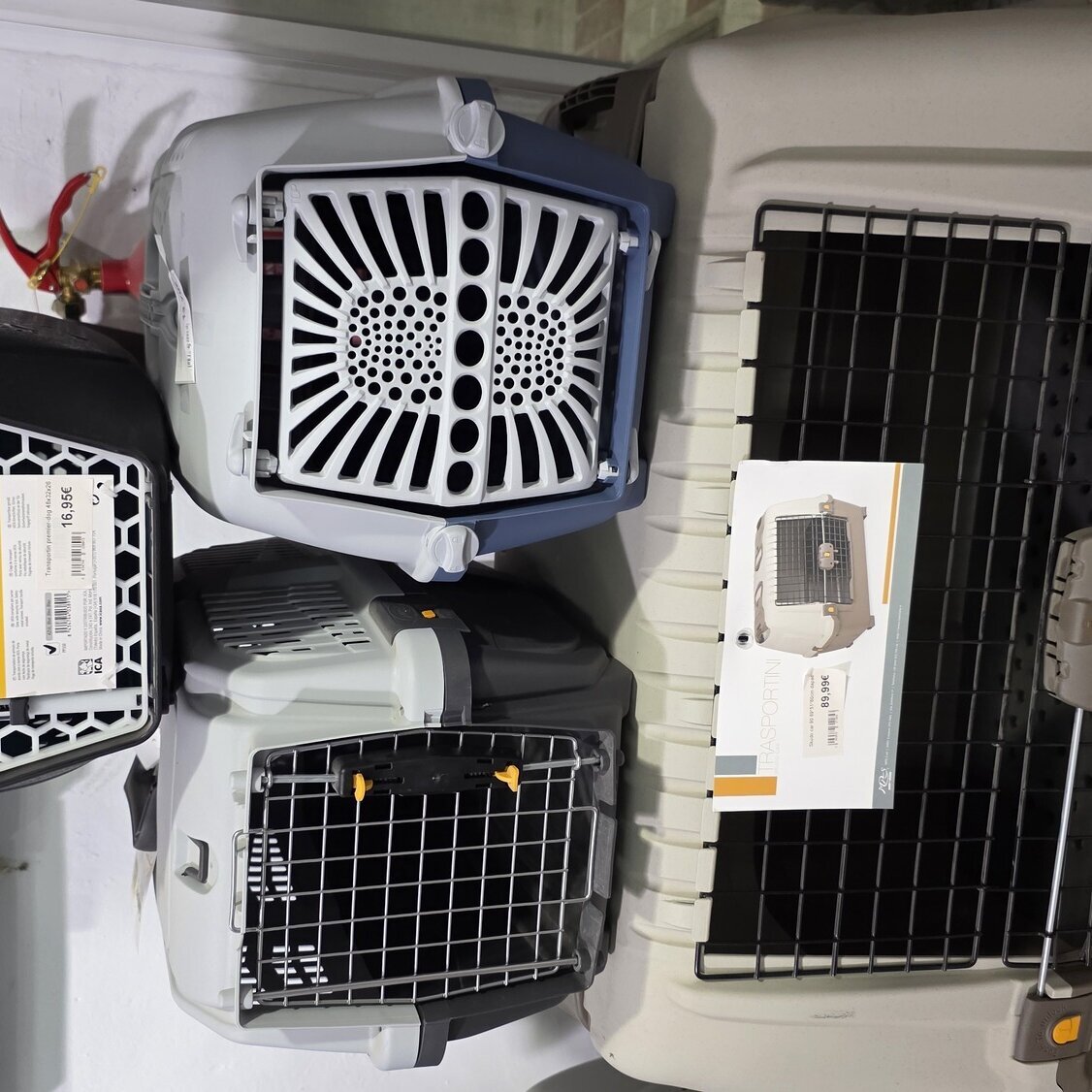 Images Mascotas gourmet