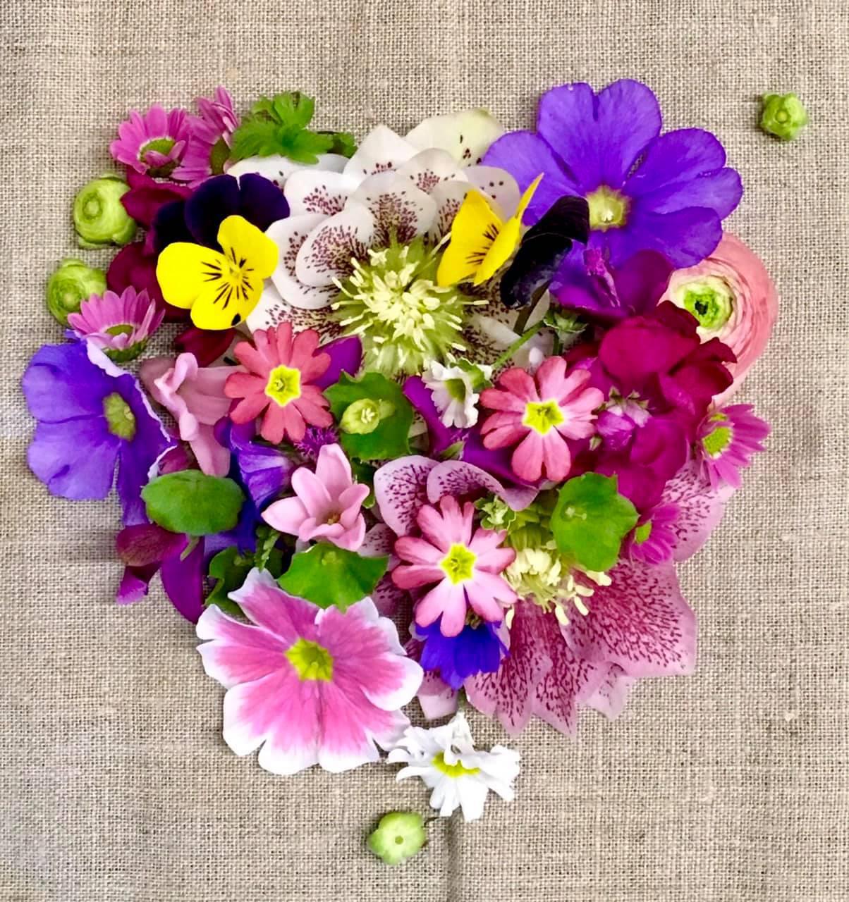 bluamaundmeh, Ketschelenstraße 1 in Feldkirch