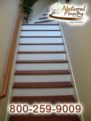 Santos Mahogany Stairs with White Risers
