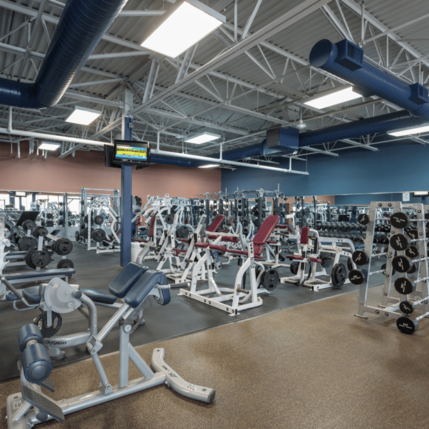 Images The Workout Club of Manchester