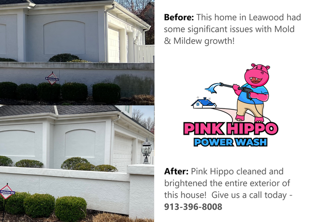 Images Pink Hippo Power Wash