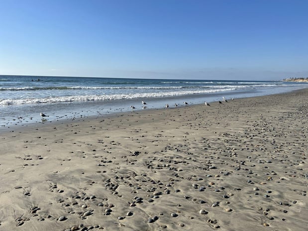 Images Holiday Inn Carlsbad - San Diego by IHG
