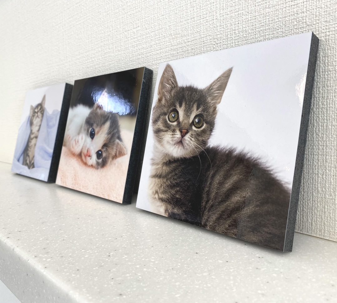 Images ビジプリ