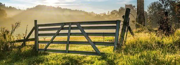 Images Springhurst Family & Cosmetic Dentistry