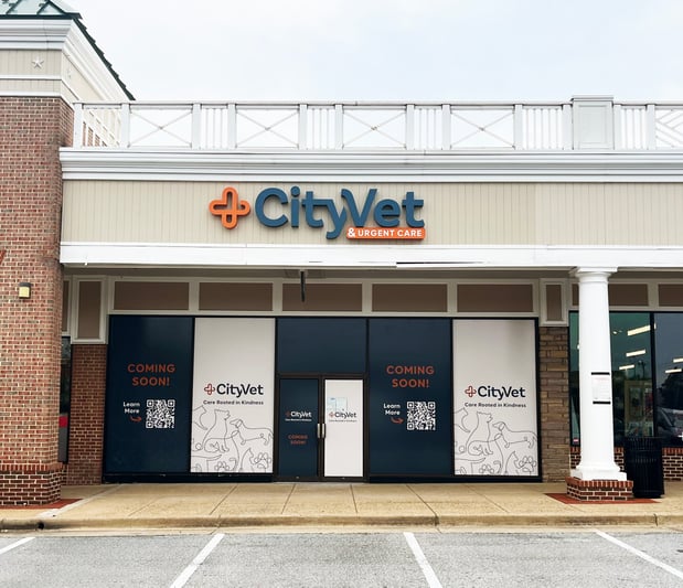 Images CityVet | Alexandria King Street