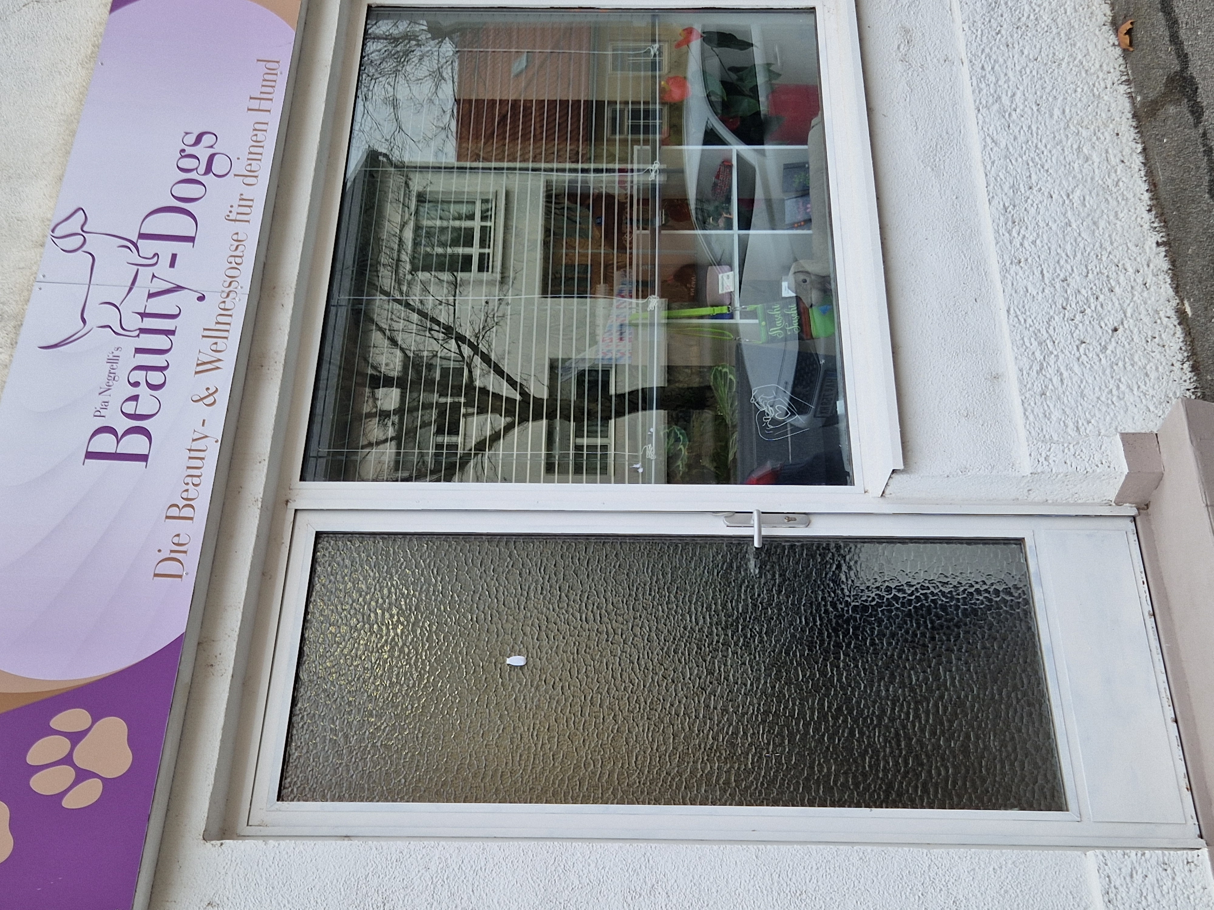 Bild 4 von Beauty-Dogs