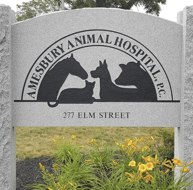 Images Amesbury Animal Hospital