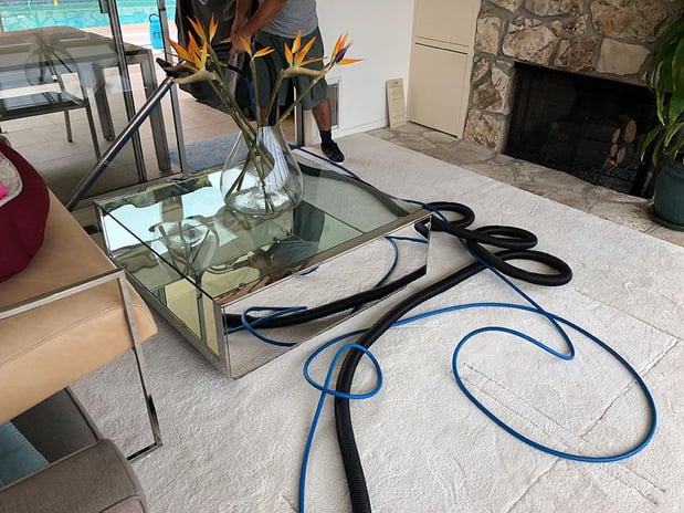 Images Zest Carpet Cleaning