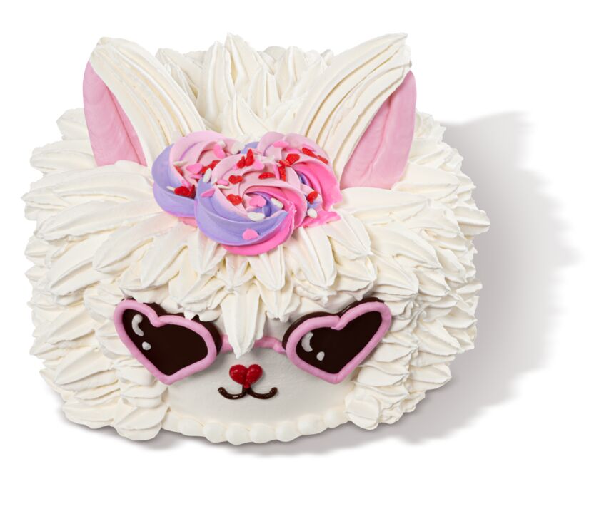 Baskin-Robbins Image