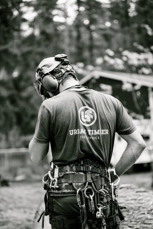 Images Portland Tree Service by Urban Timber