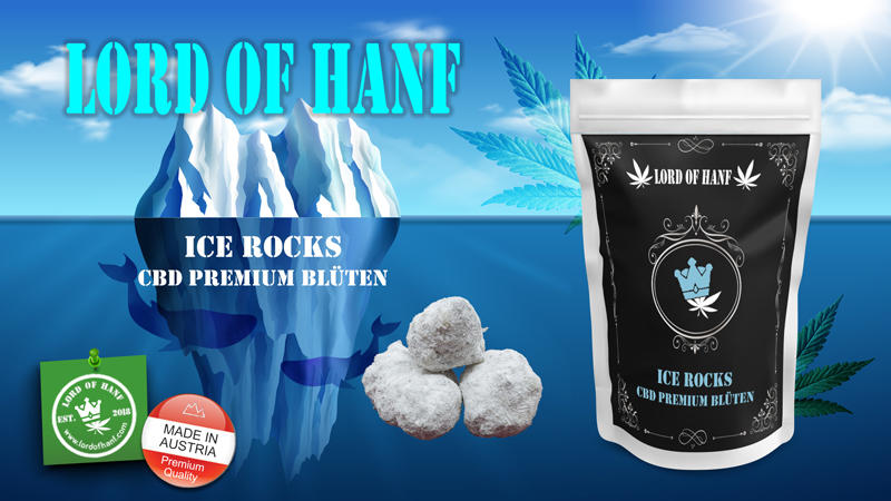 Lord of Hanf e. U., Kramergasse 3/15 in Wien