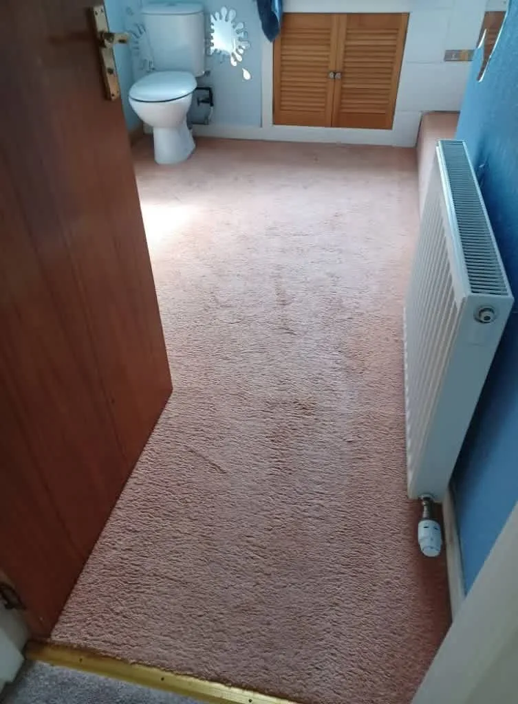 Images Johnshaven Carpet Cleaning Services