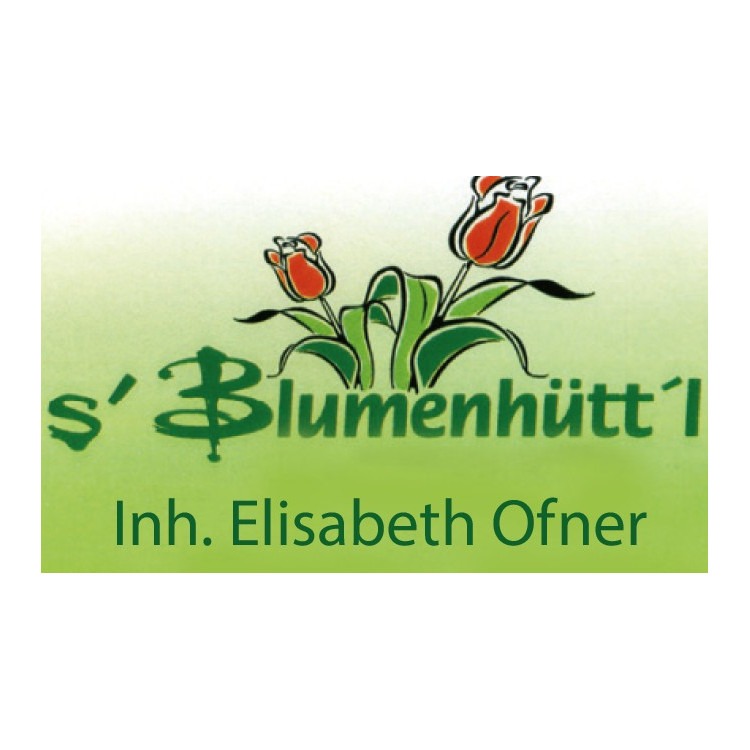 Logo von Blumenhüttl
