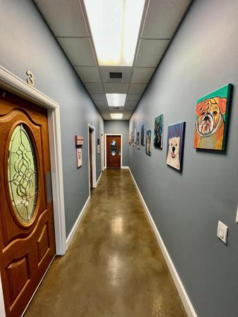 Images VCA Noah’s Place Animal Medical Center