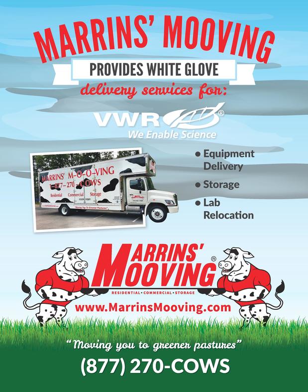 Images Marrins' Mooving