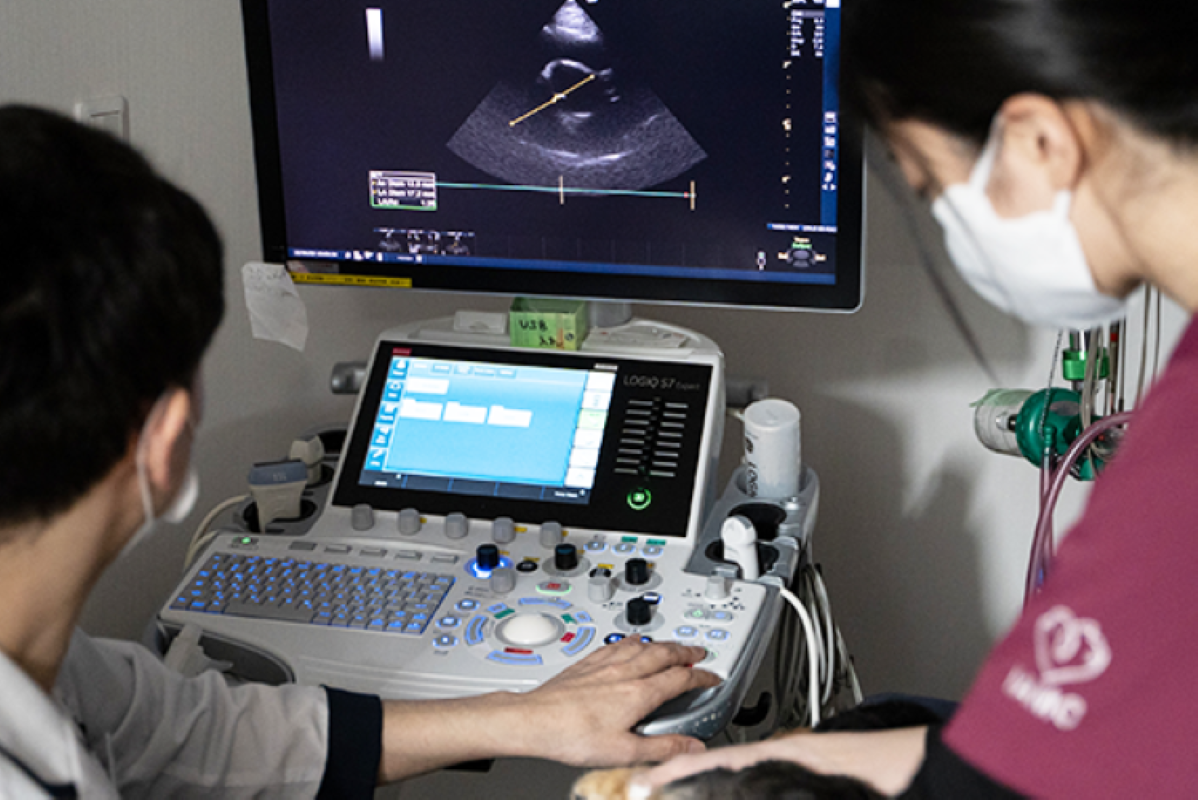 Images アイリス動物医療センター